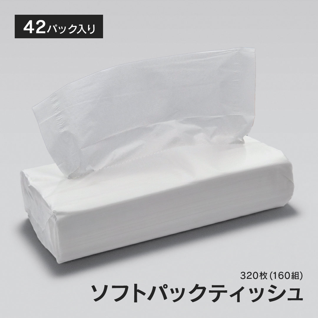 VOICE ソフトパックティッシュ 320枚(160組)×42パック